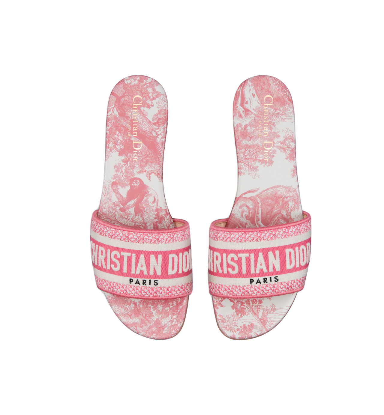 1717500140_KCQ209TJE_S73P_E06_GHC.jpg-1