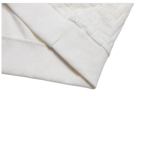 Screenshot_2025-01-20_alle_18.47.16-removebg-preview-1