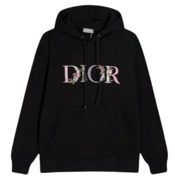 Hoodie Dior