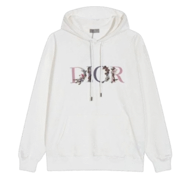 Hoodie Dior