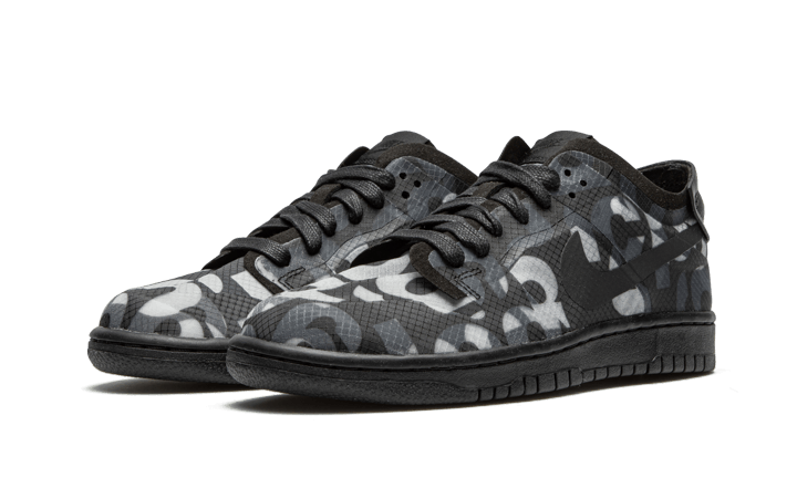 dunk-low-comme-des-garcons-print-410498_800x