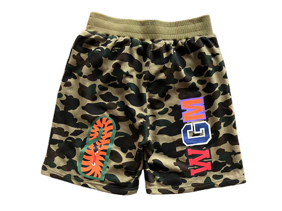 e06a9d_c996908673e248bcab5457574ff6cf39_mv2