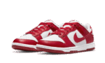 nike-dunk-low-next-nature-university-red_800x