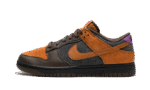 nike-dunk-low-prm-cider-wethenew-1_1_800x