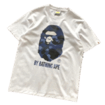 e06a9d_e84e16f863f9426793d4794bb1c50eeb_mv2