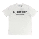 image_01cff699-0164-4ffc-a4e3-0a390f3a58f4