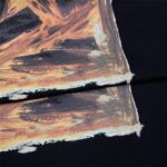 Sem-Titulo-1_c3390dd9-93ea-40df-b768-ccee76ca5020